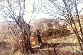上坟抒怀图片