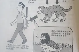为什么人类会患痔疮图片