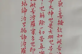 硬笔小楷抄写心经欣赏图片