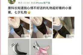 景科长的小香蕉，高副处长的珍珠情趣内裤，都是什么鬼！图片