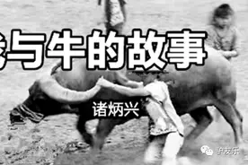 我与牛的故事（诸炳兴）图片