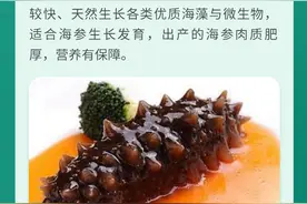 好品山东丨这些健康品牌助力山东进入“长寿时代”图片