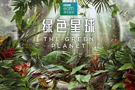 豆瓣9.8，今年第一神片终于驾到图片