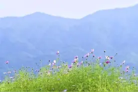 农村俗语：“上坟不过三代，祭拜不过未时”，是啥意思？图片