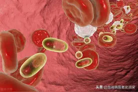 检查发现血液中红细胞偏高，是怎么回事？图片