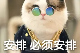 养猫“首选”这6种猫，不仅漂亮、忠诚，还特别好养图片