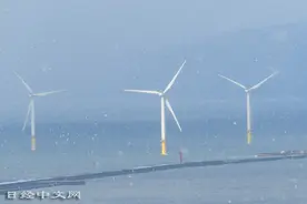 可再生能源发电能力2024年将达全球整体5成图片
