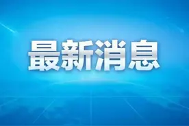 马某某案件详情图片