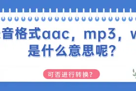 录音格式aac，mp3，wav是什么意思呢？可否进行转换？图片