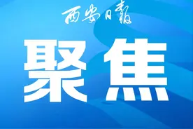 长安蛤蟆滩——黑鹳“做客”第六年 生态美景迎新春图片