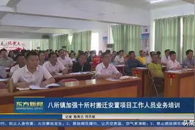 海南省东方市八所镇加强十所村搬迁安置项目工作人员业务培训图片