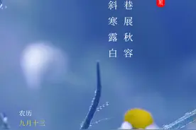 寒露 | 花巷展秋容，月斜寒露白图片