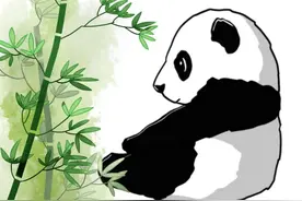 谁能拒绝大熊猫？这份熊猫书单“果赖”了！图片