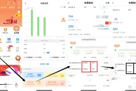 网上国网如何查看用电习惯和更改峰谷电，以及省钱技巧和电费政策图片