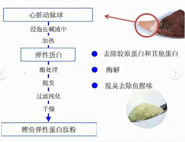 鱼弹性蛋白肽的功效 2026年五个女博士胶原蛋白肽可信吗＂,＂no_ai_sug＂