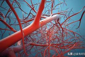 动脉弹性好不好，在家如何自测？延缓动脉硬化，日常怎么做？图片