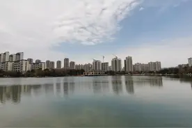 庐阳新中心腾飞建议图片