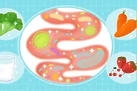 过年聚会离不了益生菌，益生菌如何正确食用？图片