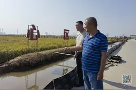 「喜迎二十大·非凡十年」天津津南区小站稻原产地加快实施“振兴计划”图片