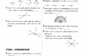 耗时16天！我把七年级下册数学必刷题225个考点，做成答案技巧图片