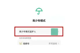 微信的“监护人”功能在哪里设置？图片