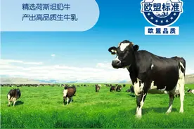 好牛奶怎么选，认准这4条标准，100％就能买到好奶图片