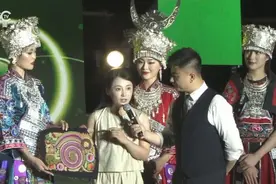 民族服饰学者解析彭水苗绣图片
