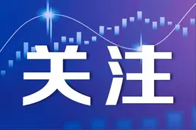 在服务经济发展大局中发挥保险保障作用图片