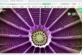 网页中的视频如何下载到电脑上图片