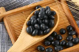 神仙养生豆：黑豆图片