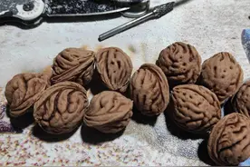 桃核，大家都能玩也喜欢的东西，我是这样做的图片