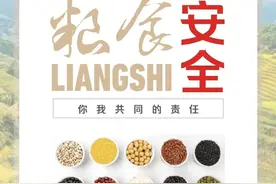 《国家安全就在你身边——粮食安全》图片