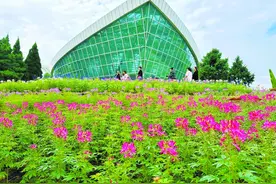 石家庄植物园金秋游园会开幕啦图片