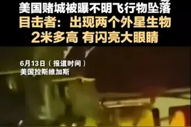 美国赌城发现不明飞行物？目击者：外星人大约2米高，眼睛很大图片