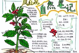 什么是自然笔记？没有绘画基础能做好自然笔记吗？图片