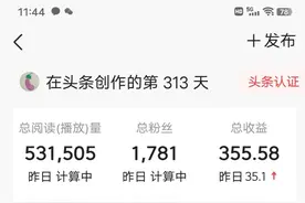 单篇收益终于过百了，文章被抄袭了！来头条第313天图片