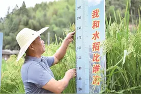 隆平的“禾下乘凉梦”在三明实现图片