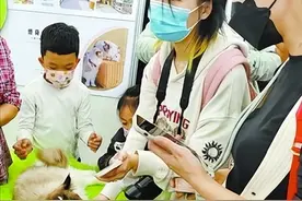 猫经济有潜力！首届猫博会选址厦门图片