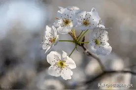 阴囊潮湿，精关不守如何调理？中医扶正祛邪，方可恢复如初图片