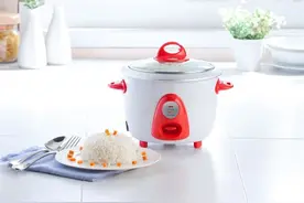 世卫组织呼吁停止使用电饭锅？电饭锅会致癌？央视实验告诉你答案图片
