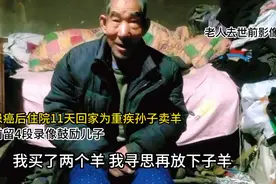 患癌爷爷生前偷偷出院为重症孙子卖羊：砸锅卖铁也得给俺孙子看病图片