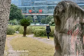 “老公说戴主任是骗子”，河北小史的5个磨玻璃肺结节图片