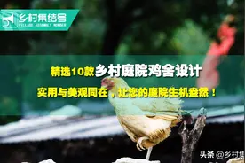 精选10款乡村庭院鸡舍设计，实用与美观同在！让您的庭院生机盎然图片