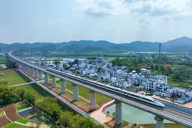 续写荣光 | 大开放力促高质量发展图片