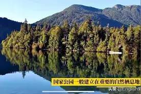 强推！小灯塔90个主题资源 高清视频 超千万家长的共同选择图片