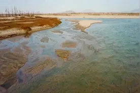 河北新乐：初春沙河美景如画图片