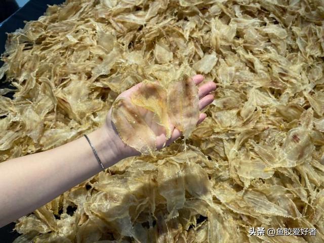 黄花筒和北海胶哪个好 2026年北海胶和黄花胶哪个功效好