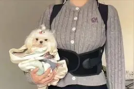 小时候那批人又来买了？背背佳90天卖超1亿元！这次盯上了成年人……图片
