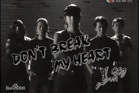 黑豹乐队《Don't Break My Heart》图片