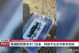 全国首例！四人“灭绝式”电捕蚯蚓，被判赔偿20余万元！丨《热线12》图片